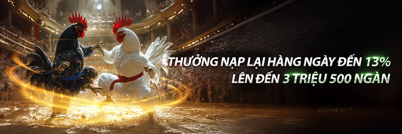 Giao diện ứng dụng SV388 hiển thị các trò chơi đá gà, thể thao và casino